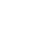 project-wit_diensten