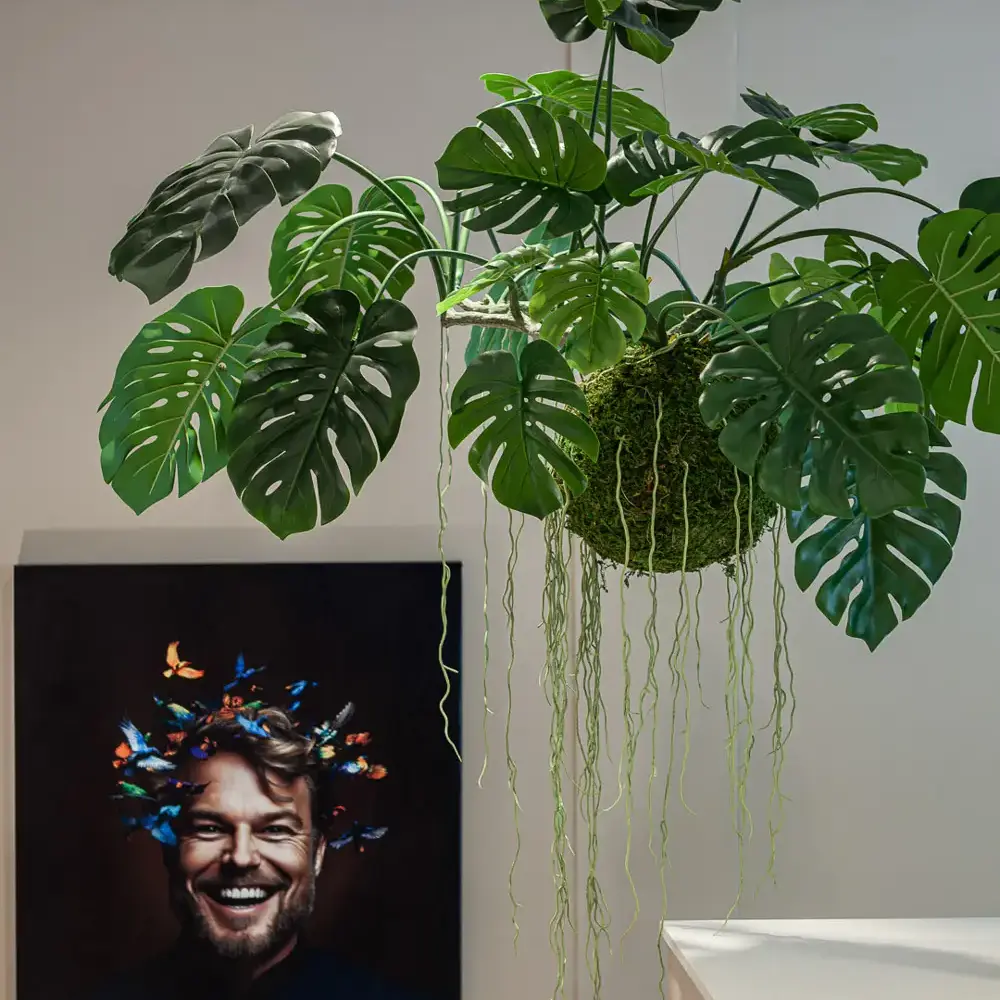 Dental Clinics Hattem